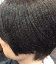 輝髪ザクロペインターのビフォー